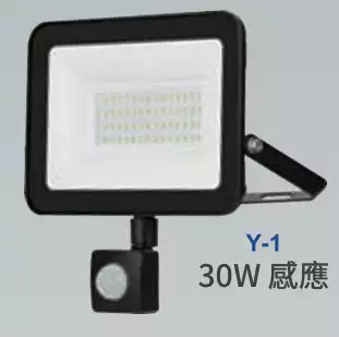 亮博士LED投光燈 天井燈